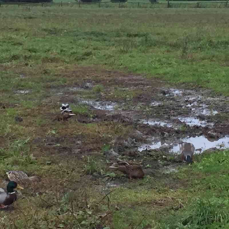 Walk Dachau walking route map in Dachau