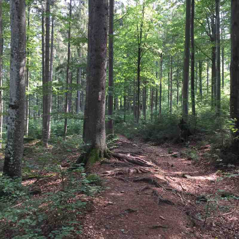 Dam Frauenau walking route map in Frauenau