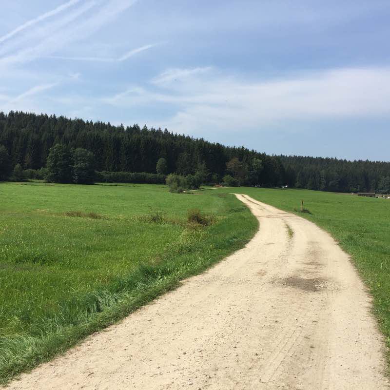 Bärnzell-Frauenau Glasmuseum walking route map in Zwiesel