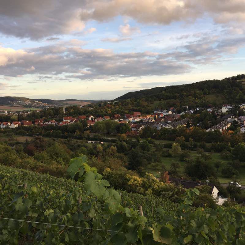 Walk through the vineyard walking route map in Lauda-Königshofen