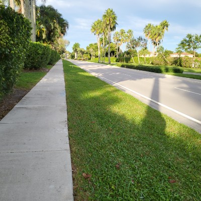 Ellie 2.0 🇬🇧🇯🇲🇺🇸 post 1