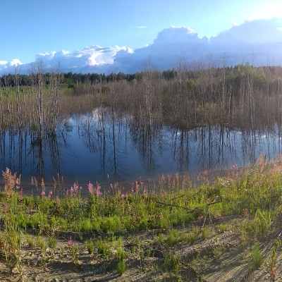 Вместе мы шагаем Andrey.Kamenko post image