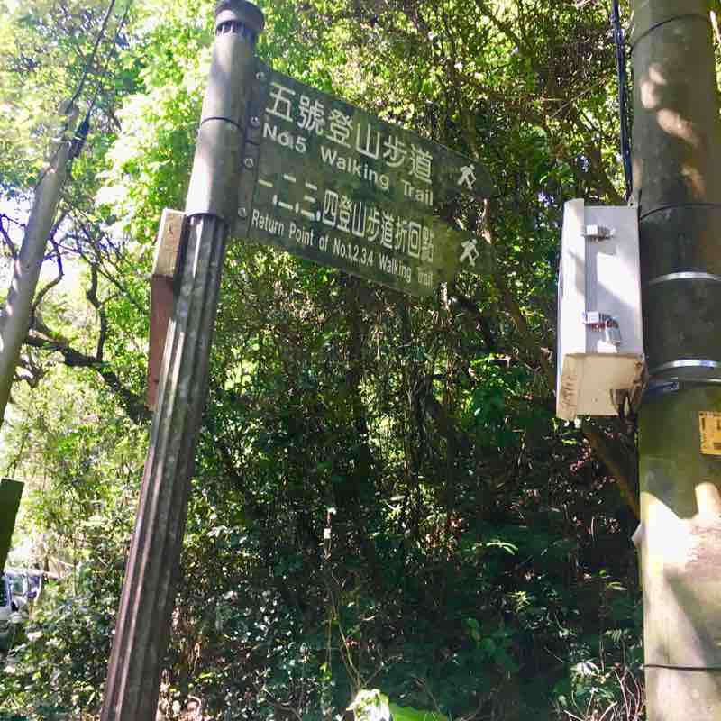 台中大坑5&5-1 步道 O型走
