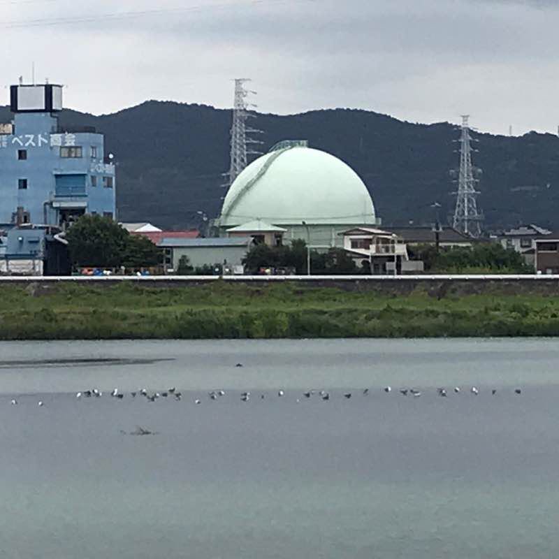 Sakawa river walk walking route map in Odawara