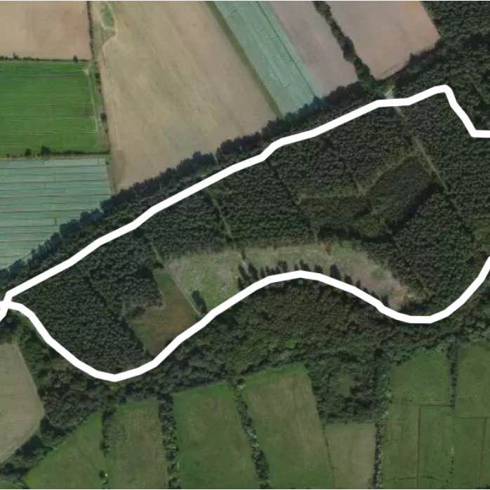 Sizewell wood walk 35 mins