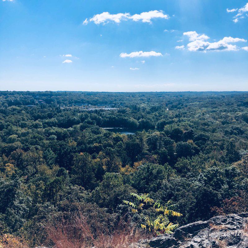 walking near me in Ramapo Valley County Reservation in winter