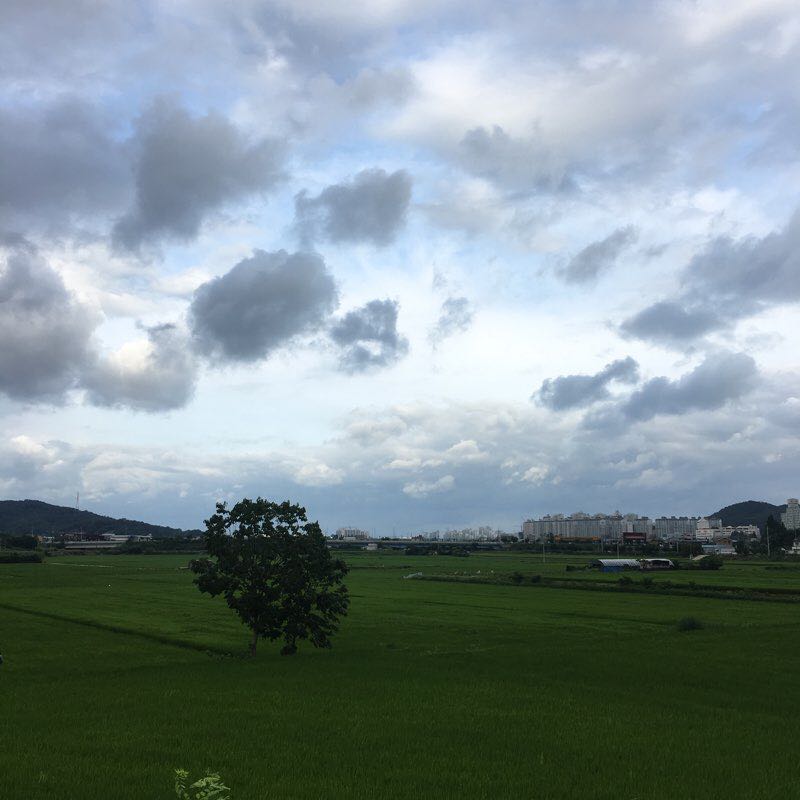 통정산책 