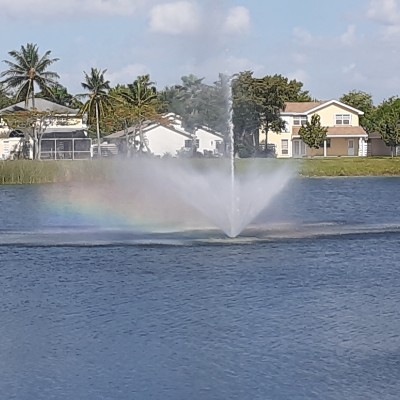 Yaneth Quiroz post 1