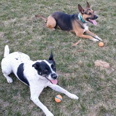 strawberryGirl post 1