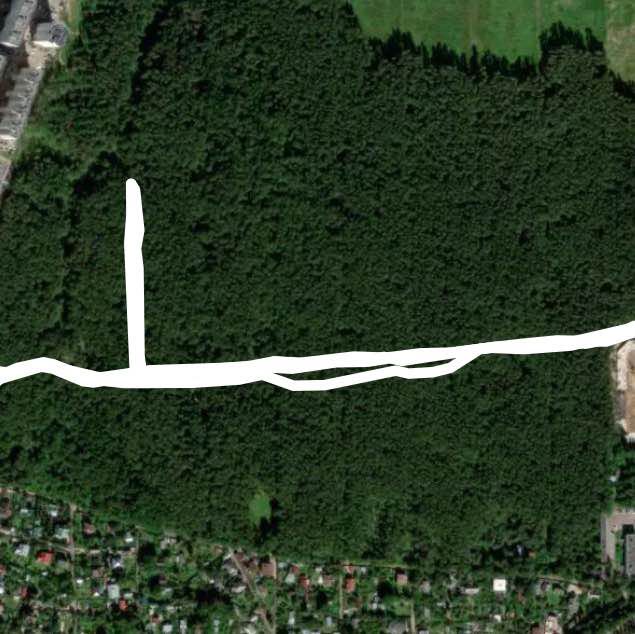 дорожка в лесу