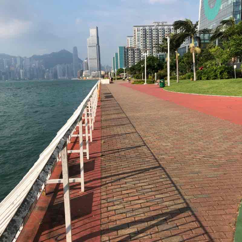 九龍島🐉の朝ベイエリア