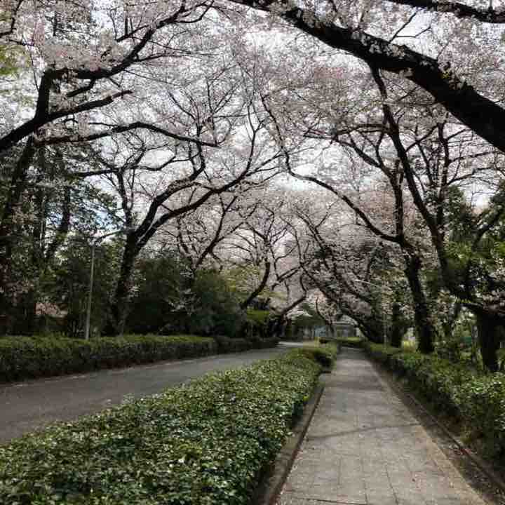 広尾日赤病院🏥ルート