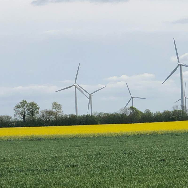 Lütauer Feldmarkt kurzunde walking route map in Lütau