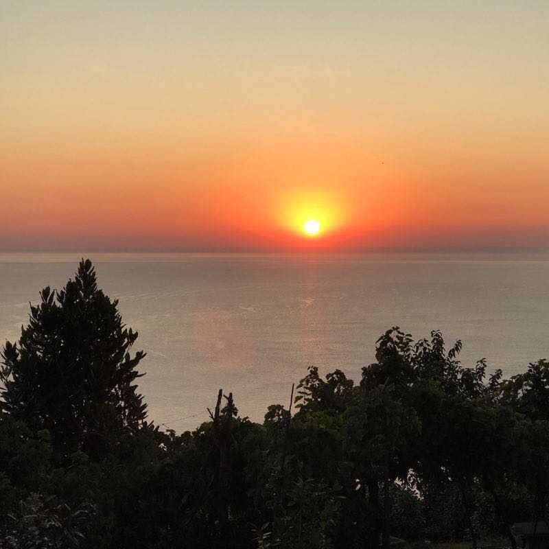 Agios Dimitrios walking route map in Agios Dimitrios