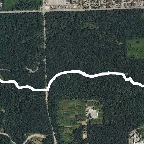 Bemis Woods North walking route map in La Grange Park