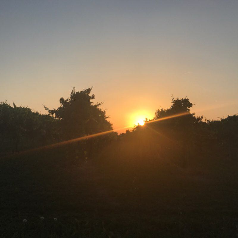 Correggio and surroundings walking route map in Correggio