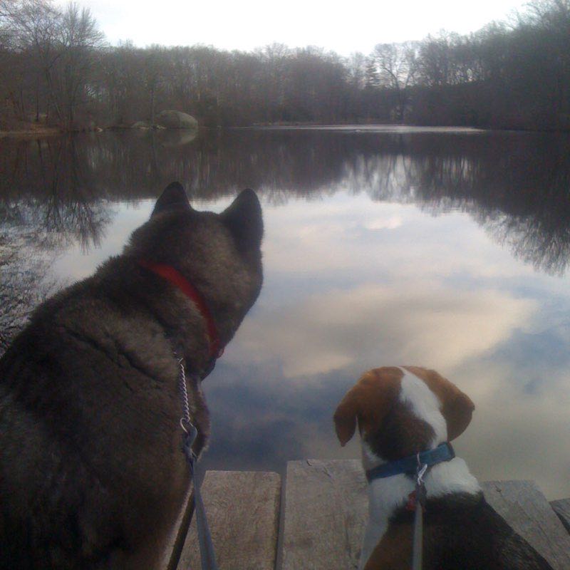 Backwoods turnaround