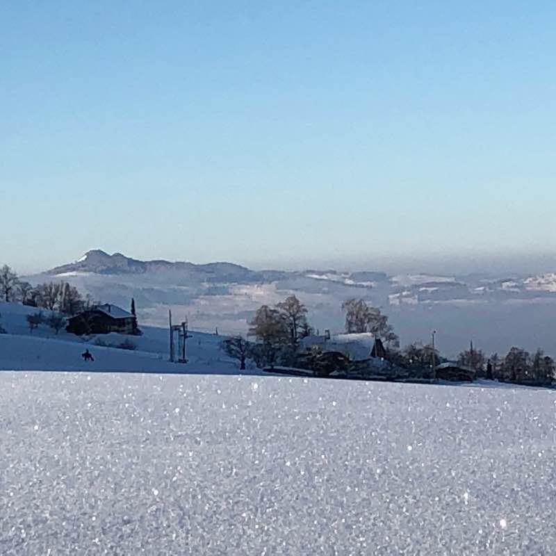 Winter wonderland by snowshues😊 walking route map in Linden