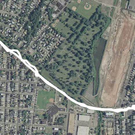 Sunday Stroll 🚶‍♀️