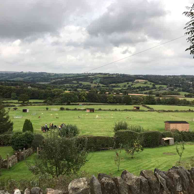 Unknown Barlow walking route map in Barlow