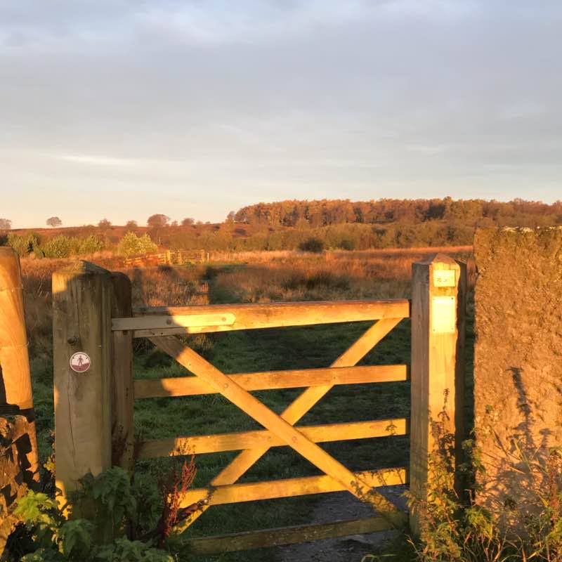 The hidden water walking route map in Eastmoor