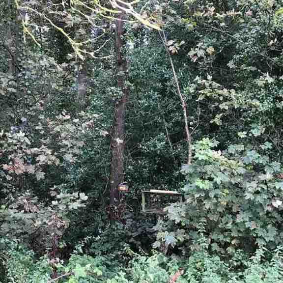 The Upland Hare Walk walking route map in Barlow