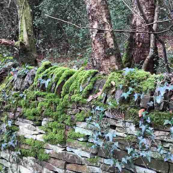 Rumbling Street Triangle walking route map in Barlow