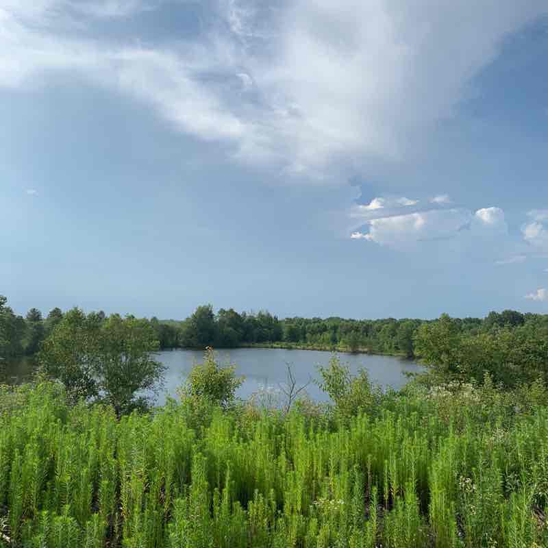 Beautiful place  walking route map in Winslow