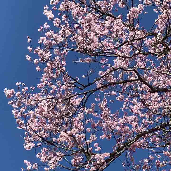 Countryside promenade walking route map in Yamaguchi