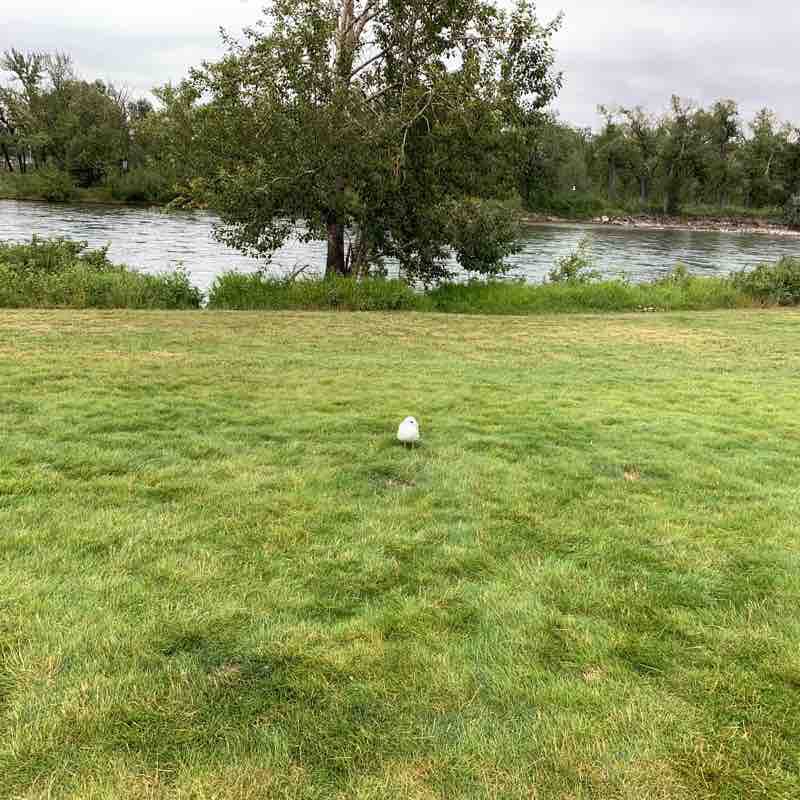 Auburn Bay Walk Trail Calgary, Alberta, Canada Pacer