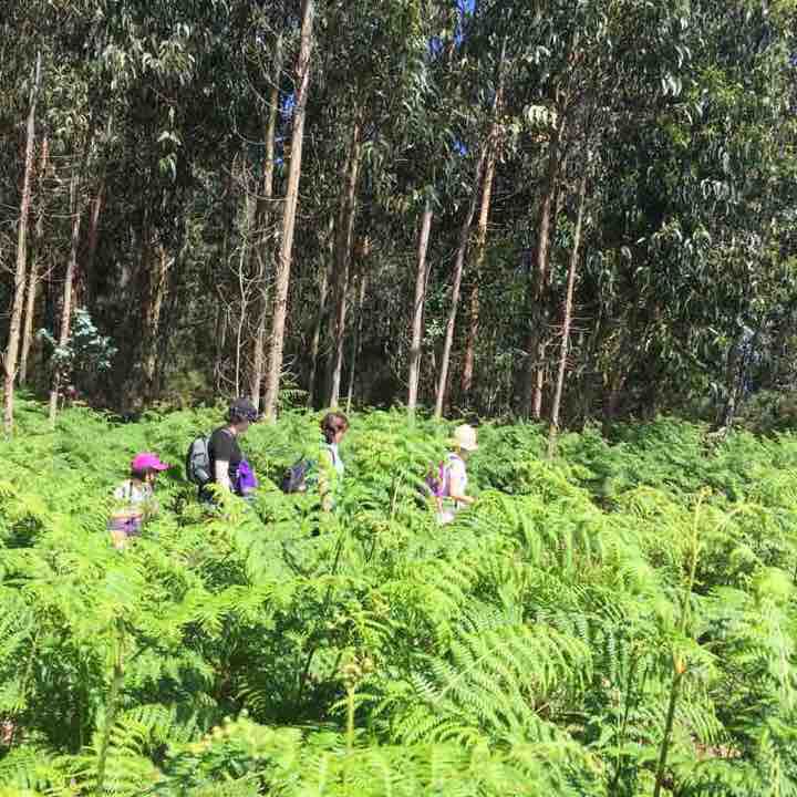 Cave of the maiden / pig rock walking route map in Viveiro