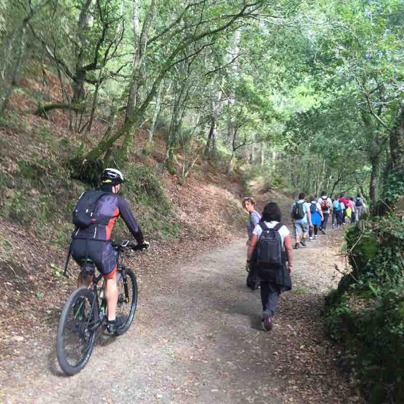 Road section of Santiago (Portuguese Way) walking route map in Caldas de Reyes