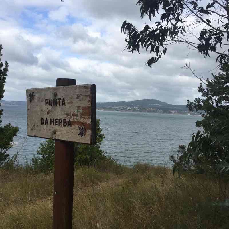 Now / Lorbe / Now, por la costa walking route map in Miño