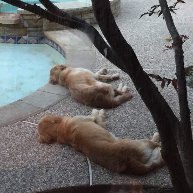 Stoney Hollow walking route map in Parker