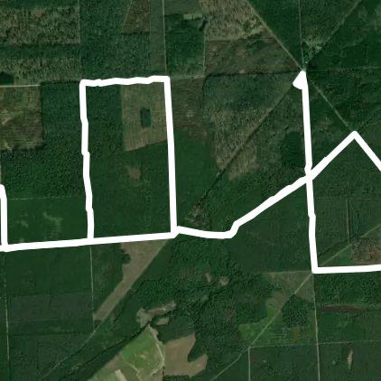 Forêt d’Orléans Chambon Ingrannes