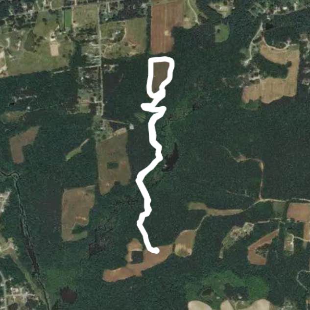 Turnipseed nature preserve