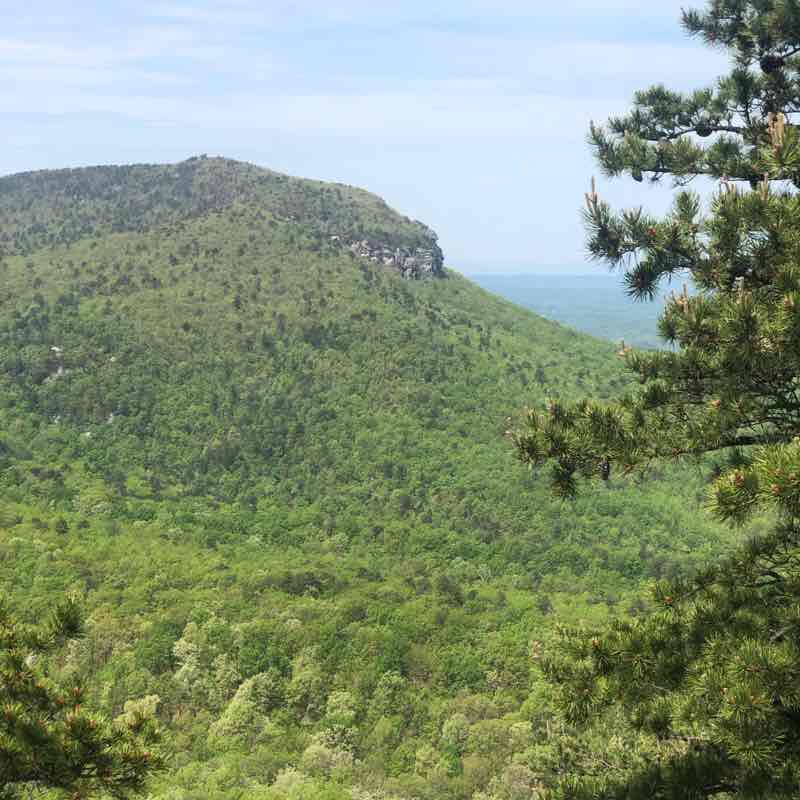 Hanging Rock trail Walk Walnut Cove, North Carolina, USA Pacer