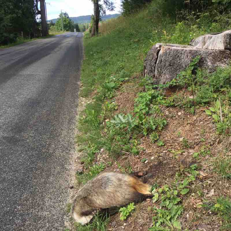 Tresserve-Lescheraines -col de Plaimpalais-StAlba- walking route map in Aix-les-Bains