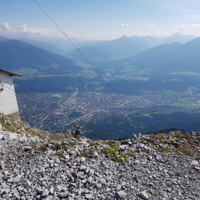 🌸 𝑇𝑟𝑒𝑒𝑠＆𝐹𝑙𝑜𝑤𝑒𝑟𝑠🌲 m4pelea post image