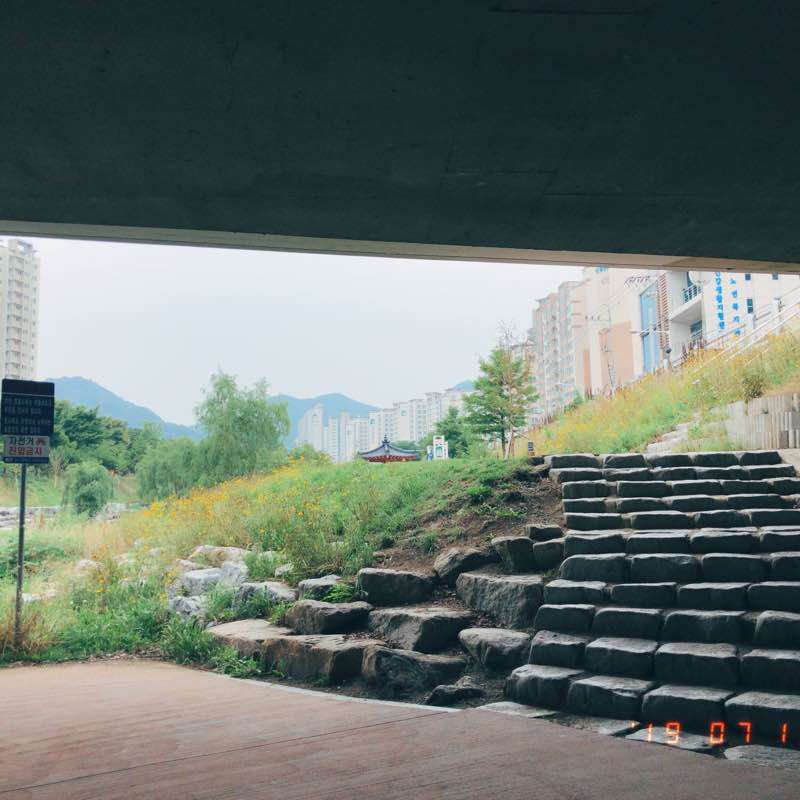 남천강변 