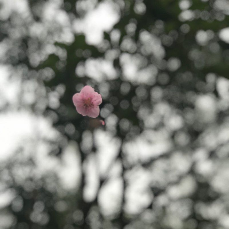 鼓山 (Drum Mountain)