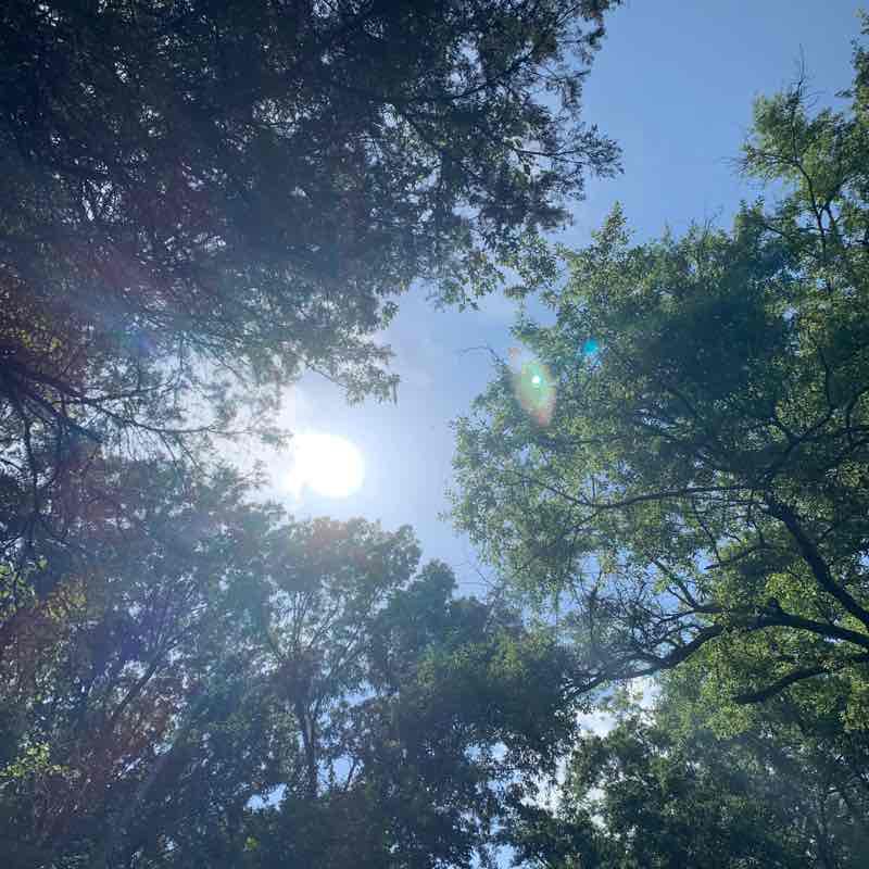 Natchez Chisha Folka Multi use Trail