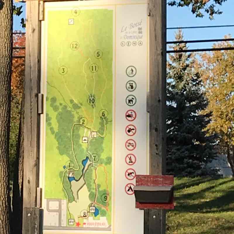 The wooded Crete walking route map in Saint-Dominique