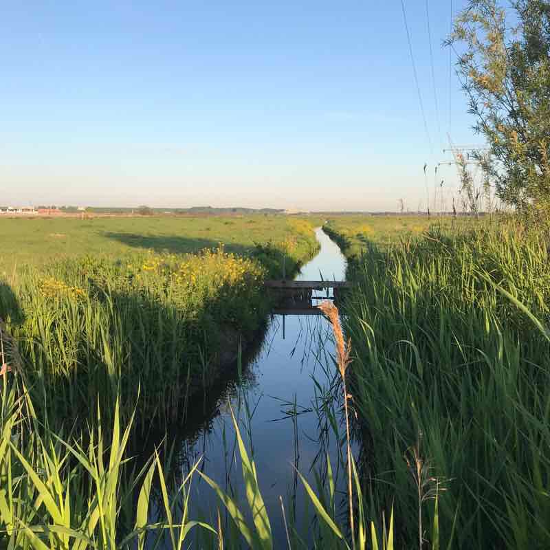 Enjoying the rivers and Dutch nature walking route map in Muiden