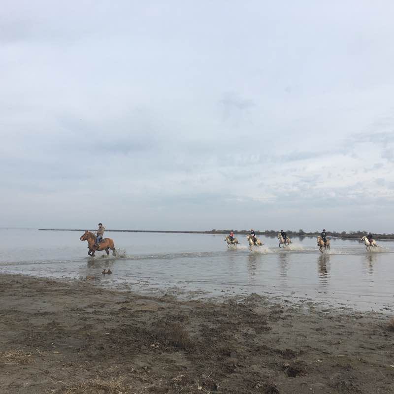 Walk in the marshes walking route map in Saintes-Maries-de-la-Mer