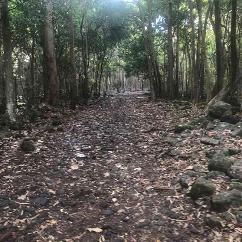 Pétrin Trail - Black River Gorges