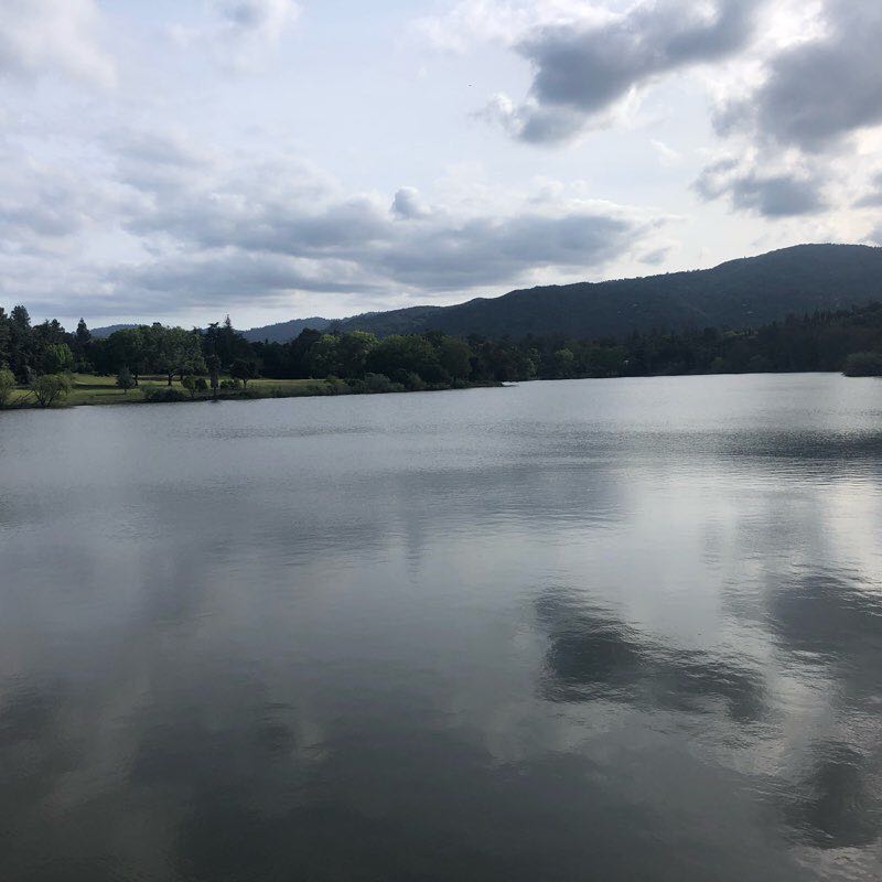 Los Gatos Creek Trail 