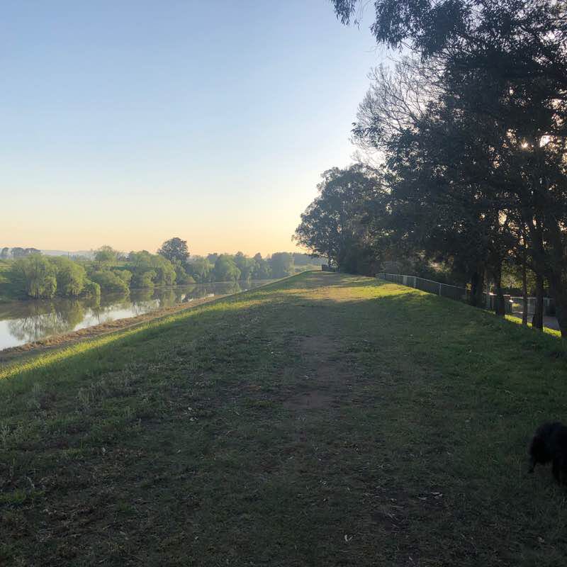 Hunter River Maitland CBD walk   walking route map in Lorn