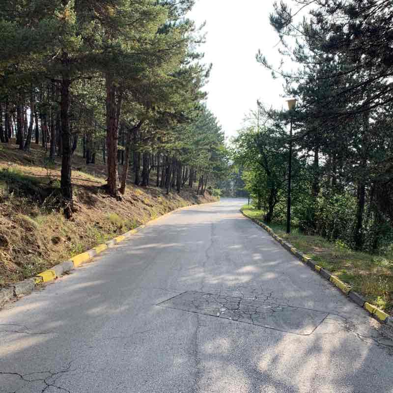 Х-л Алегра-Войнишка Поляна