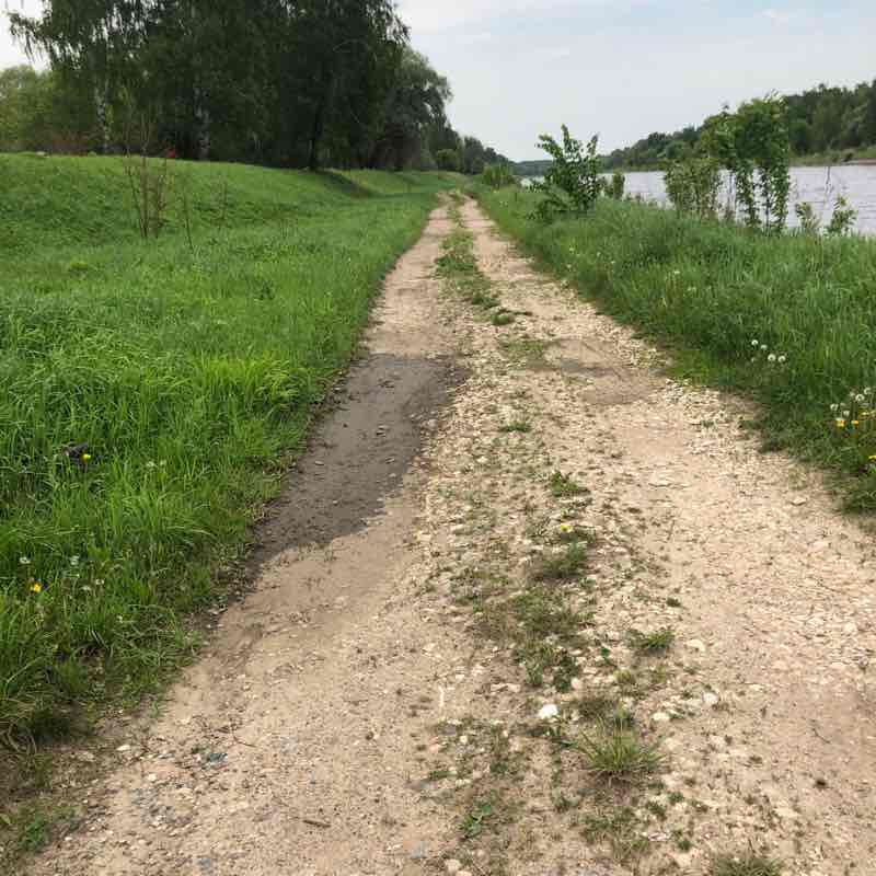 Легкая пробежка у канала 